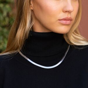 NWOT Jennifer Zeuner Allie Necklace in Silver Princess Collar Herringbone Chain